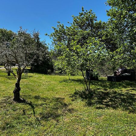 Les Demeures Du Clos Niozelles Dış mekan fotoğraf
