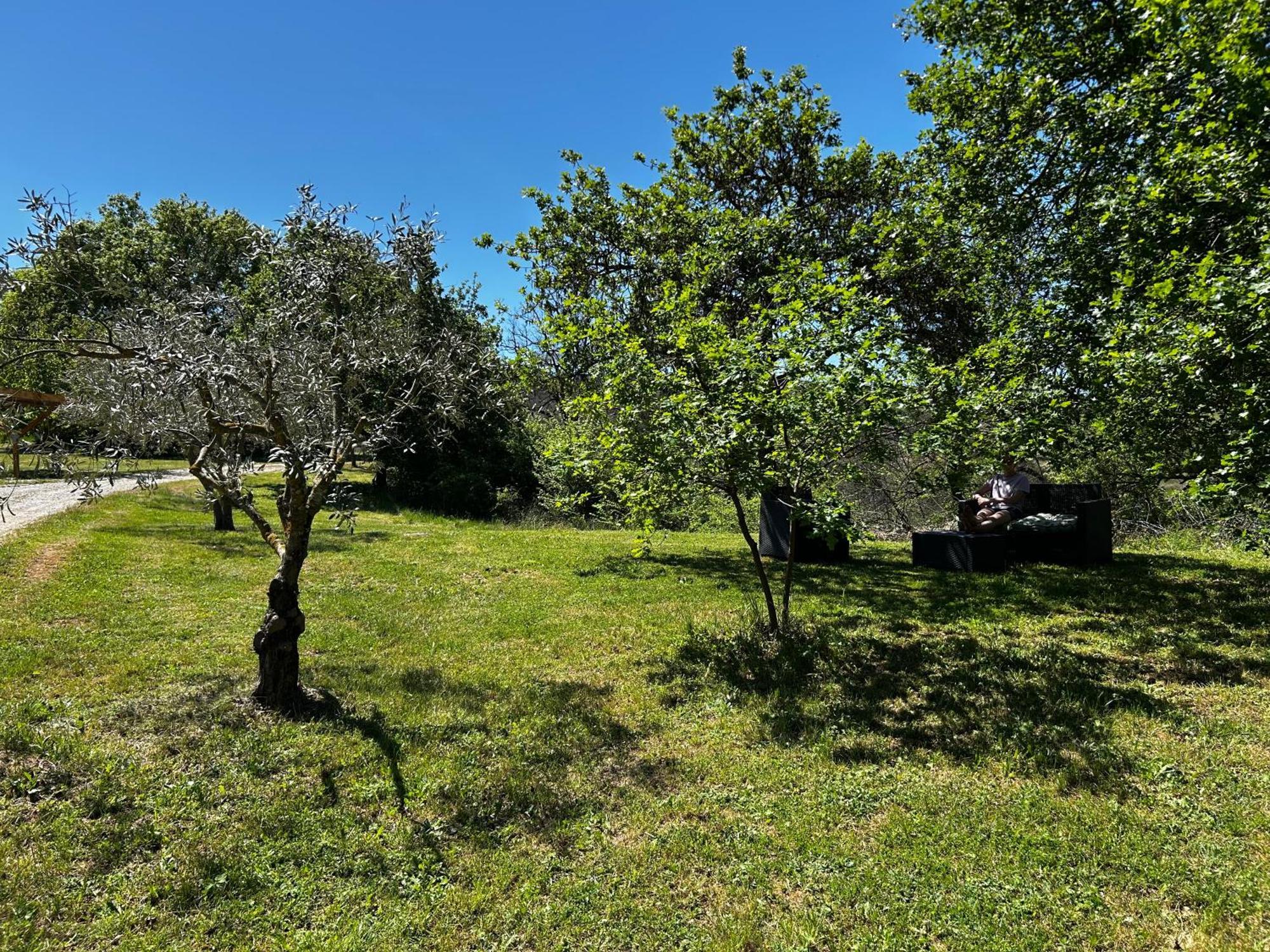 Les Demeures Du Clos Niozelles Dış mekan fotoğraf